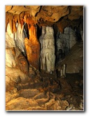 Florida-Caverns-State-Park-Marianna-FL-072