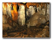 Florida-Caverns-State-Park-Marianna-FL-073