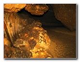 Florida-Caverns-State-Park-Marianna-FL-074