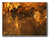 Florida-Caverns-State-Park-Marianna-FL-075