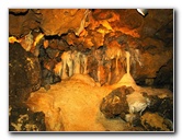 Florida-Caverns-State-Park-Marianna-FL-076