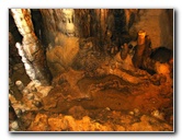 Florida-Caverns-State-Park-Marianna-FL-078