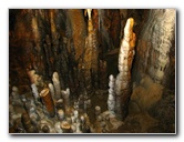 Florida-Caverns-State-Park-Marianna-FL-079