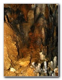 Florida-Caverns-State-Park-Marianna-FL-080