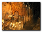 Florida-Caverns-State-Park-Marianna-FL-083