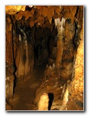 Florida-Caverns-State-Park-Marianna-FL-084