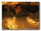 Florida-Caverns-State-Park-Marianna-FL-085