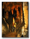 Florida-Caverns-State-Park-Marianna-FL-086