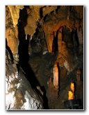 Florida-Caverns-State-Park-Marianna-FL-087