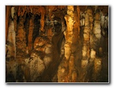 Florida-Caverns-State-Park-Marianna-FL-088