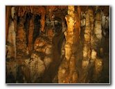 Florida-Caverns-State-Park-Marianna-FL-088