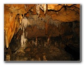 Florida-Caverns-State-Park-Marianna-FL-089