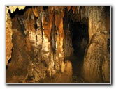 Florida-Caverns-State-Park-Marianna-FL-090