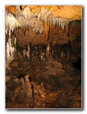 Florida-Caverns-State-Park-Marianna-FL-092
