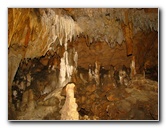Florida-Caverns-State-Park-Marianna-FL-094