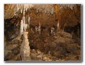 Florida-Caverns-State-Park-Marianna-FL-095
