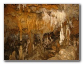 Florida-Caverns-State-Park-Marianna-FL-096