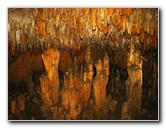 Florida-Caverns-State-Park-Marianna-FL-100