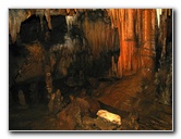 Florida-Caverns-State-Park-Marianna-FL-102