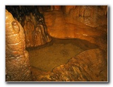 Florida-Caverns-State-Park-Marianna-FL-104