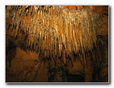 Florida-Caverns-State-Park-Marianna-FL-106