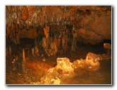 Florida-Caverns-State-Park-Marianna-FL-107
