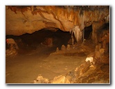 Florida-Caverns-State-Park-Marianna-FL-108
