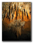 Florida-Caverns-State-Park-Marianna-FL-109