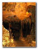 Florida-Caverns-State-Park-Marianna-FL-113