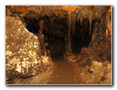 Florida-Caverns-State-Park-Marianna-FL-114