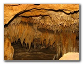 Florida-Caverns-State-Park-Marianna-FL-115