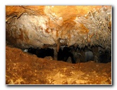 Florida-Caverns-State-Park-Marianna-FL-116