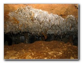 Florida-Caverns-State-Park-Marianna-FL-117
