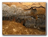 Florida-Caverns-State-Park-Marianna-FL-118