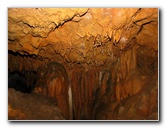 Florida-Caverns-State-Park-Marianna-FL-119