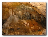 Florida-Caverns-State-Park-Marianna-FL-120