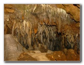 Florida-Caverns-State-Park-Marianna-FL-121