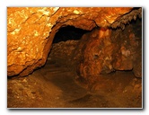 Florida-Caverns-State-Park-Marianna-FL-122