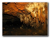 Florida-Caverns-State-Park-Marianna-FL-124