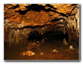 Florida-Caverns-State-Park-Marianna-FL-125