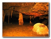 Florida-Caverns-State-Park-Marianna-FL-126