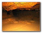 Florida-Caverns-State-Park-Marianna-FL-127