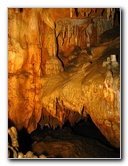Florida-Caverns-State-Park-Marianna-FL-128