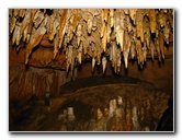 Florida-Caverns-State-Park-Marianna-FL-129