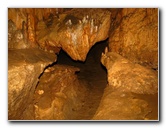 Florida-Caverns-State-Park-Marianna-FL-130