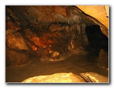 Florida-Caverns-State-Park-Marianna-FL-132
