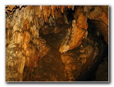 Florida-Caverns-State-Park-Marianna-FL-134