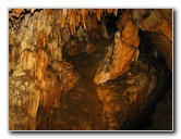 Florida-Caverns-State-Park-Marianna-FL-134