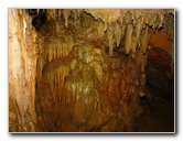 Florida-Caverns-State-Park-Marianna-FL-138