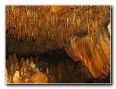 Florida-Caverns-State-Park-Marianna-FL-139